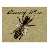 Queen Bee Wildlife Bug Insect Poster (Voorkant)