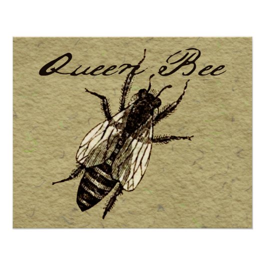 Queen Bee Wildlife Bug Insect Poster (Voorkant)