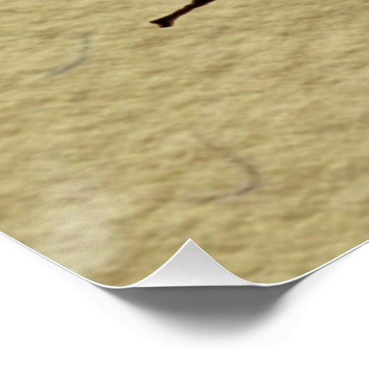 Queen Bee Wildlife Bug Insect Poster (Hoek)