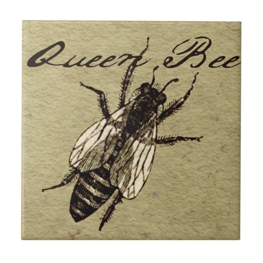 Queen Bee Wildlife Bug Insect Tegeltje (Voorkant)