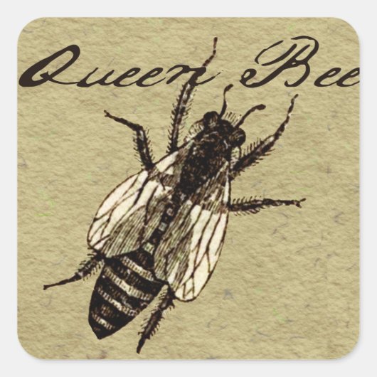 Queen Bee Wildlife Bug Insect Vierkante Sticker (Voorkant)