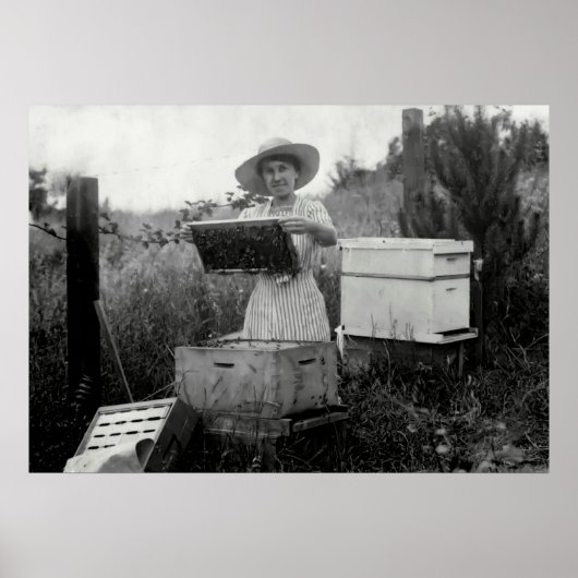 QUEEN BEEKEEPER 19e eeuw Poster (Voorkant)