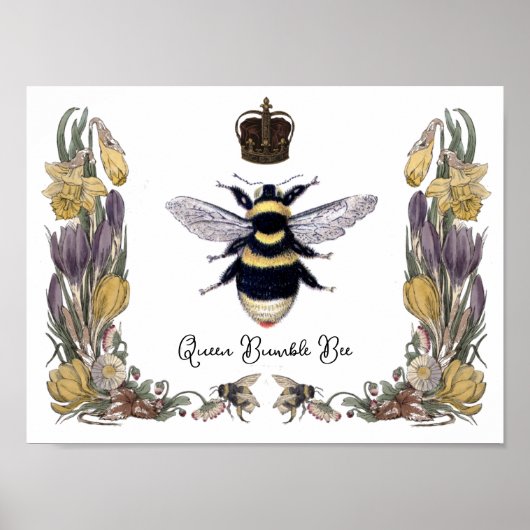 Queen Bumble Bee in Flower Lijst Poster (Voorkant)