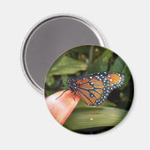 Queen Butterfly Magnet (Voorkant / Achterkant)