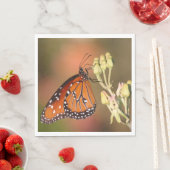 Queen butterfly on a branch servet (Insitu)