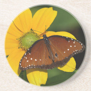 Queen Butterfly op gele bloem Zandsteen Onderzetter