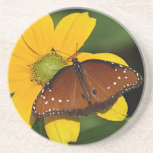 Queen Butterfly op gele bloem Zandsteen Onderzetter (Voorkant)