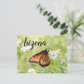Queen Butterfly Sunning op Milkweed, Arizona Briefkaart (Staand voorkant)
