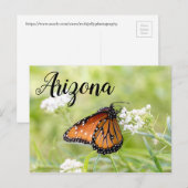 Queen Butterfly Sunning op Milkweed, Arizona Briefkaart (Voorkant / Achterkant)