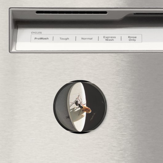 Queen Carpenter Ant ~ magneet (Insitu (Vaatwasser))