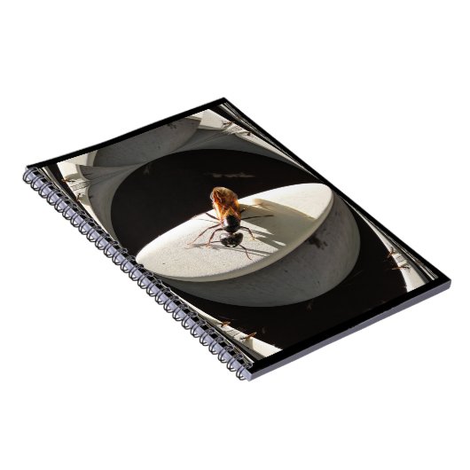 Queen Carpenter Ant ~ Notebook Notitieboek (Rechterzijde)