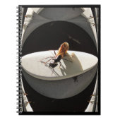 Queen Carpenter Ant ~ Notebook Notitieboek (Voorkant)