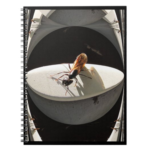 Queen Carpenter Ant ~ Notebook Notitieboek (Voorkant)