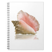 Queen Conch Notitieboek (Voorkant)