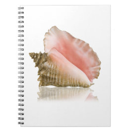 Queen Conch Notitieboek