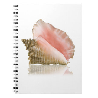 Queen Conch Notitieboek