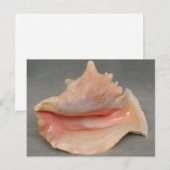 Queen Conch Shell Briefkaart (Voorkant / Achterkant)