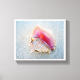 Queen Conch Shell op Bahamas Beach Canvas Afdruk