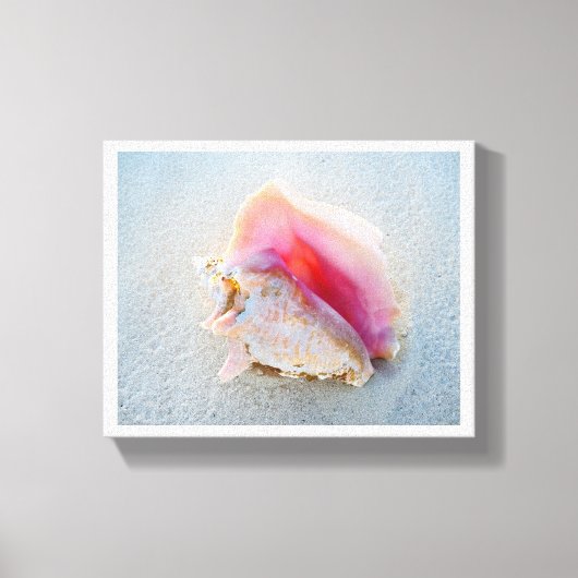 Queen Conch Shell op Bahamas Beach Canvas Afdruk (Voorkant)