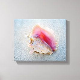 Queen Conch Shell op Bahamas Beach Canvas Afdruk