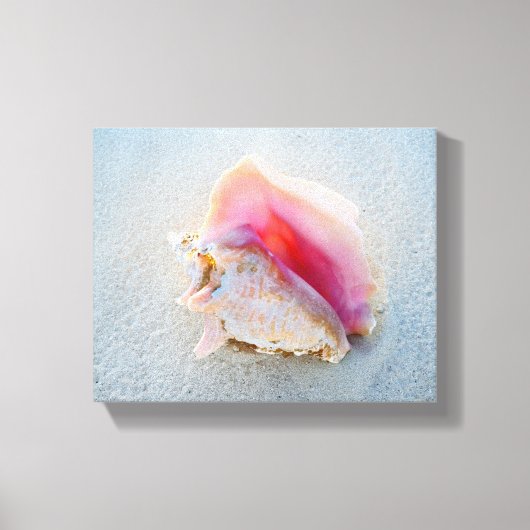 Queen Conch Shell op Bahamas Beach Canvas Afdruk (Voorkant)