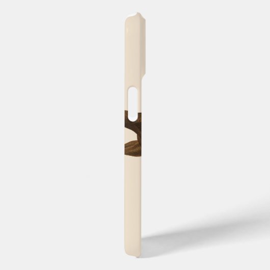 Queen Conch Shell Seashell, zeeleven Case-Mate iPhone Case (Achterkant / Rechts)