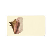 Queen Conch Shell Seashell, zeeleven Etiket (Voorkant)