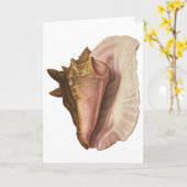 Queen Conch Shell Seashell,  zeeleven Kaart (Gele Bloem)