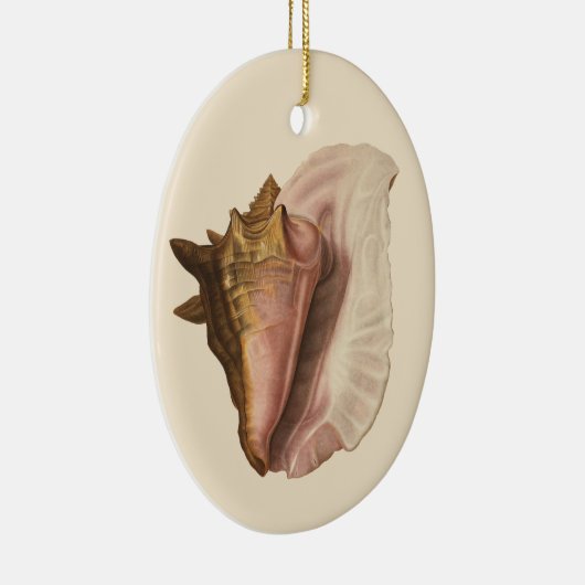 Queen Conch Shell Seashell,  zeeleven Keramisch Ornament (Rechts)