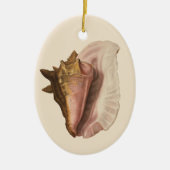Queen Conch Shell Seashell,  zeeleven Keramisch Ornament (Voorkant)
