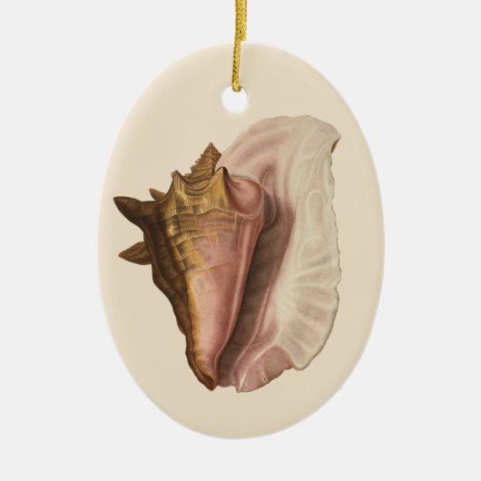 Queen Conch Shell Seashell, zeeleven Keramisch Ornament (Voorkant)