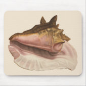 Queen Conch Shell Seashell,  zeeleven Muismat (Voorkant)
