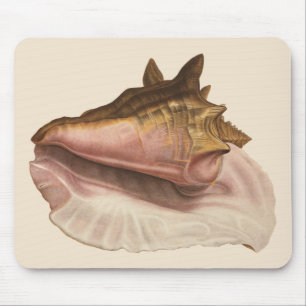 Queen Conch Shell Seashell,  zeeleven Muismat