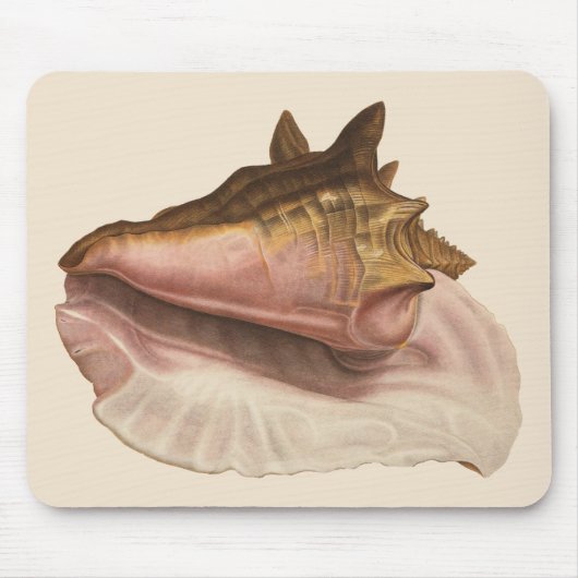 Queen Conch Shell Seashell,  zeeleven Muismat (Voorkant)
