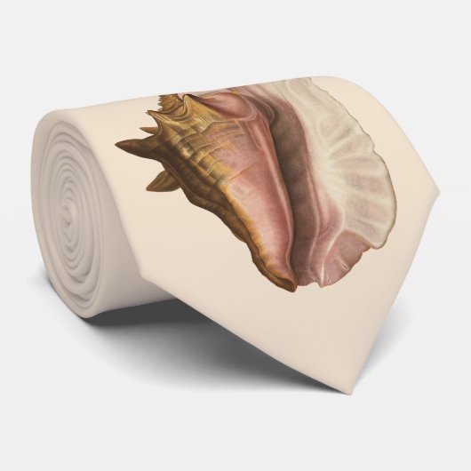 Queen Conch Shell Seashell,  zeeleven Stropdas (Opgerold)