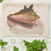 Queen Conch Shell Seashell,  zeeleven Theedoek (Gevouwen)