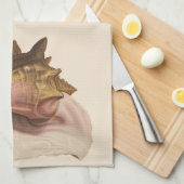 Queen Conch Shell Seashell,  zeeleven Theedoek (Quarter Fold)