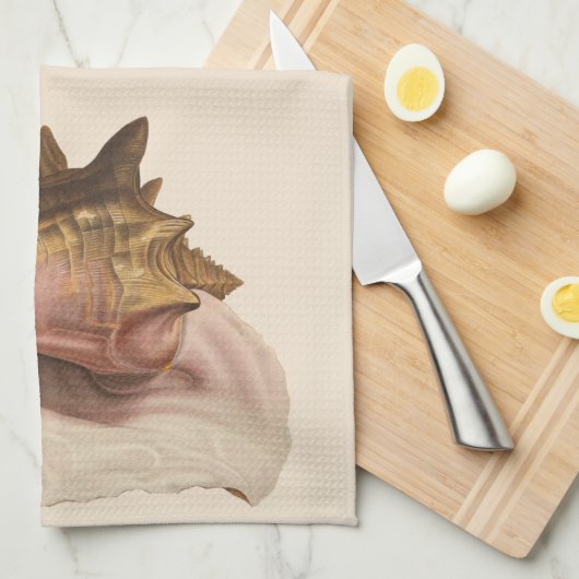 Queen Conch Shell Seashell,  zeeleven Theedoek (Quarter Fold)