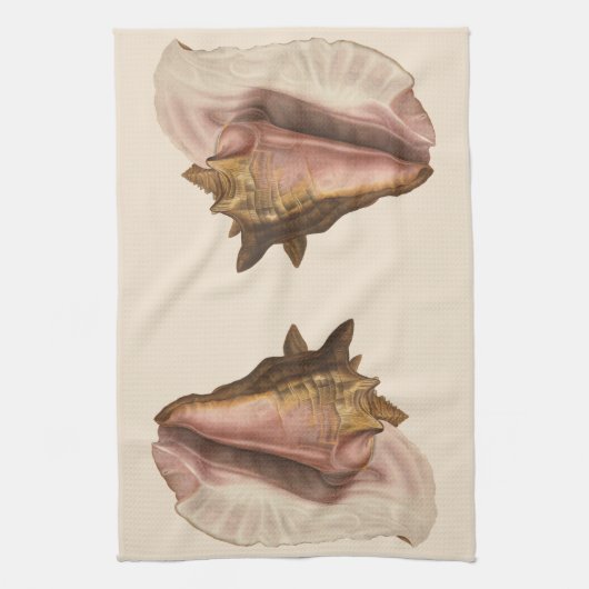 Queen Conch Shell Seashell,  zeeleven Theedoek (Verticaal)