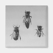 Queen Drone Worker Bijen houden Apiologie Apiarist Magneet (Voorkant)