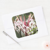 Queen Emma Crinum Lilies Sticker (Envelop)