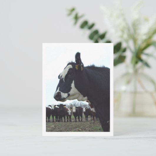 Queen Koe Briefkaart (Staand voorkant)