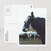 Queen Koe Briefkaart (Voorkant / Achterkant)