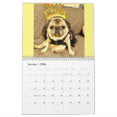 Queen Lulu the Pug 2022 Agenda Kalender (Jan 2026)