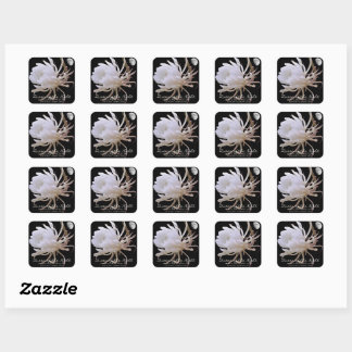 Queen of the Night スクエアシール Vierkante Sticker