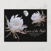 Queen of the Night ポストカード Briefkaart (Voorkant)