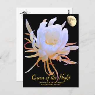 Queen of the Night Briefkaart
