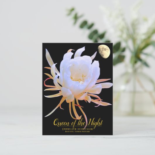 Queen of the Night Briefkaart (Staand voorkant)
