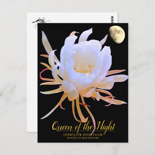 Queen of the Night Briefkaart (Voorkant / Achterkant)