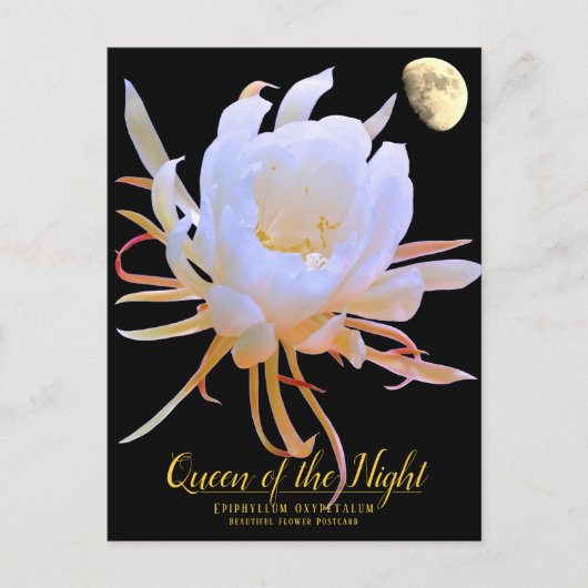 Queen of the Night Briefkaart (Voorkant)